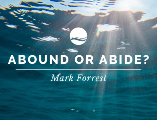 Abound or Abide? // Mark Forrest