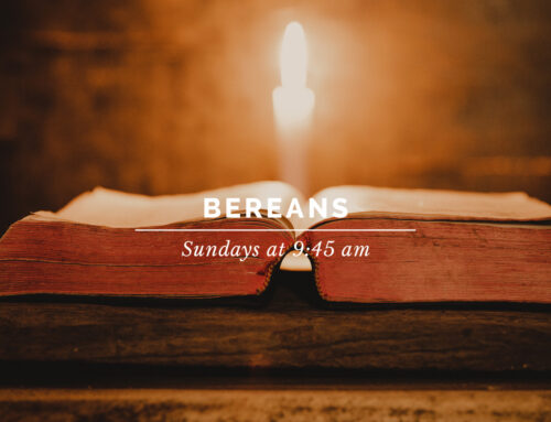 Bereans