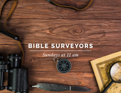 Bible Surveyors