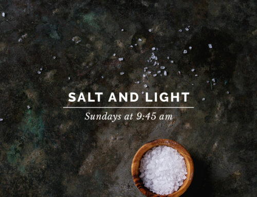 Salt and Light