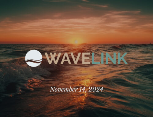 Wavelink // November 14, 2024