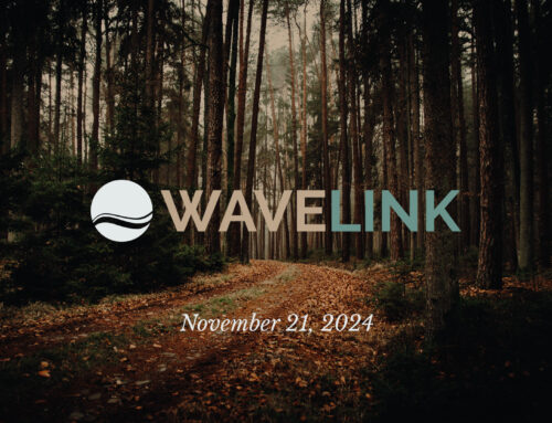 Wavelink // November 21, 2024