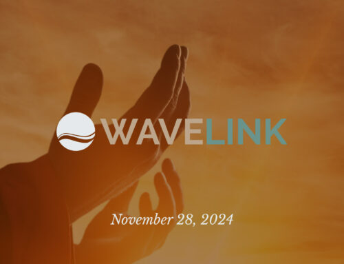 Wavelink // November 28, 2024