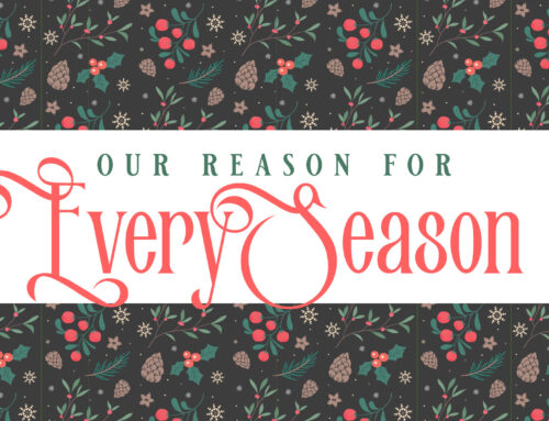 Our Reason for Every Season