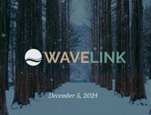 Wavelink // December 5, 2024