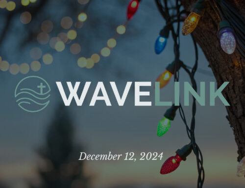 Wavelink // December 12, 2024