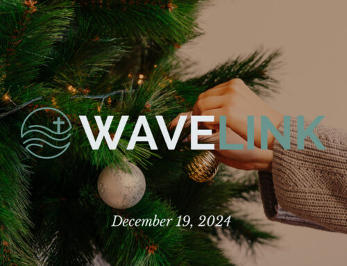 Wavelink // December 19, 2024