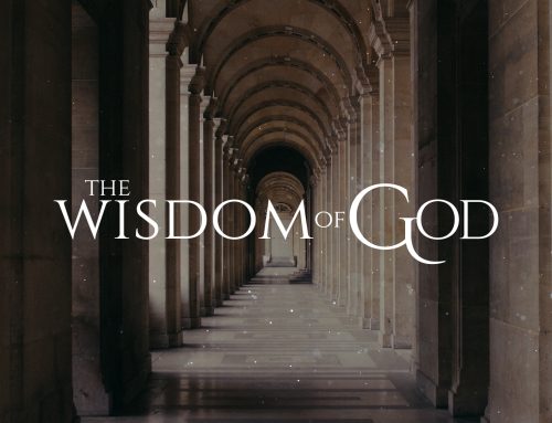 The Wisdom of God