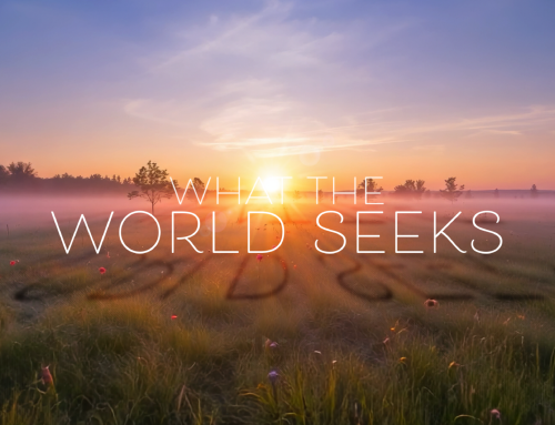 What The World Seeks