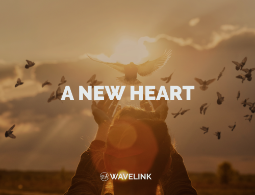 A New Heart
