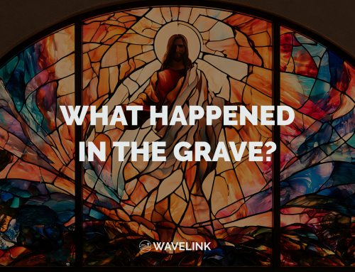 What Happened in the Grave?