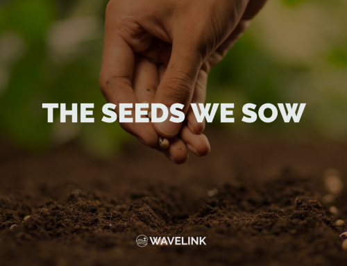The Seeds We Sow
